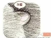 彩铅三只仓鼠图片,小仓鼠彩铅教程