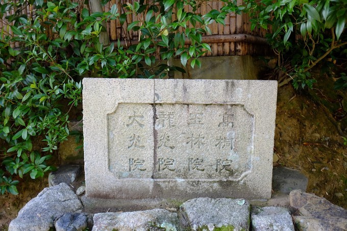 京都赏枫2022,京都赏枫必去景点有哪些好玩的