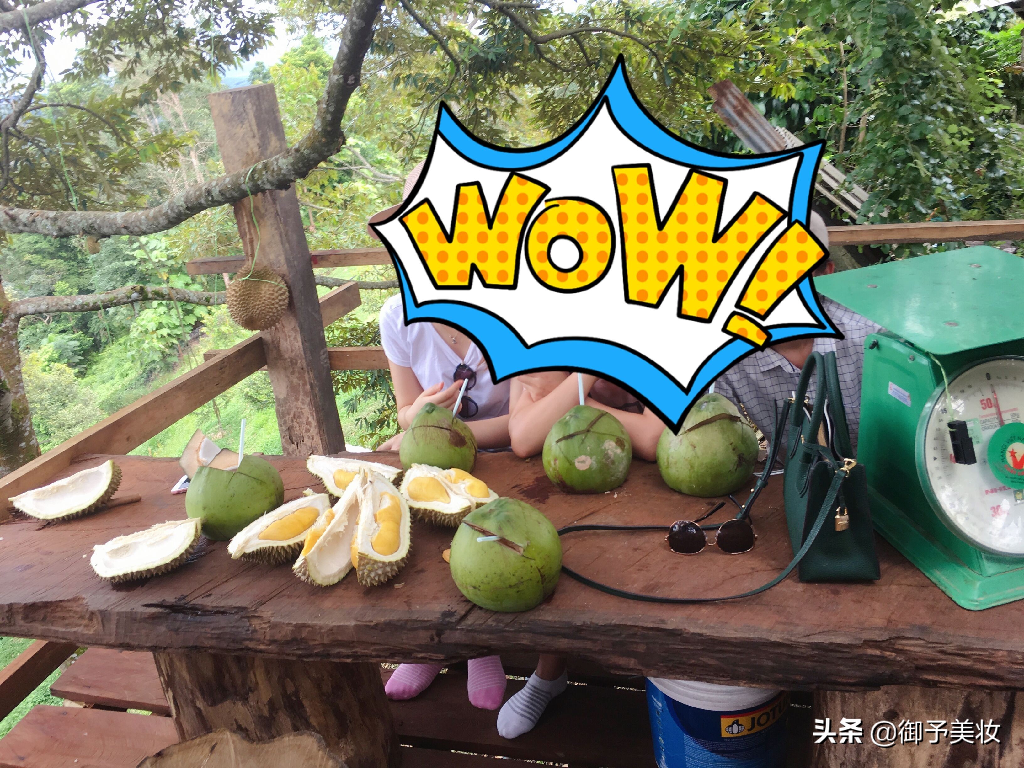 吃过马来西亚的榴莲,吃到马来西亚的黑刺猫山王