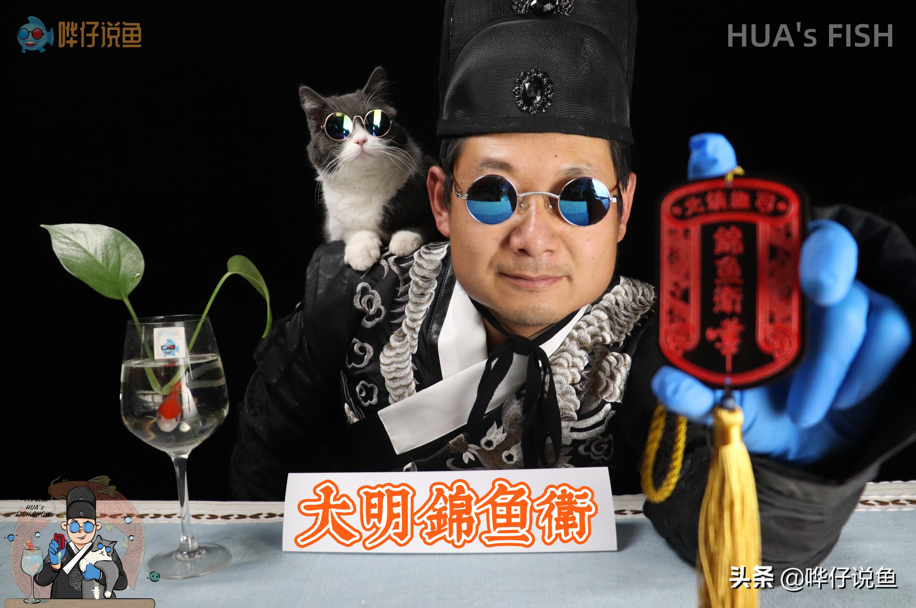 鱼缸上过滤和滤桶哪个好,鱼缸滤桶为什么效果不好