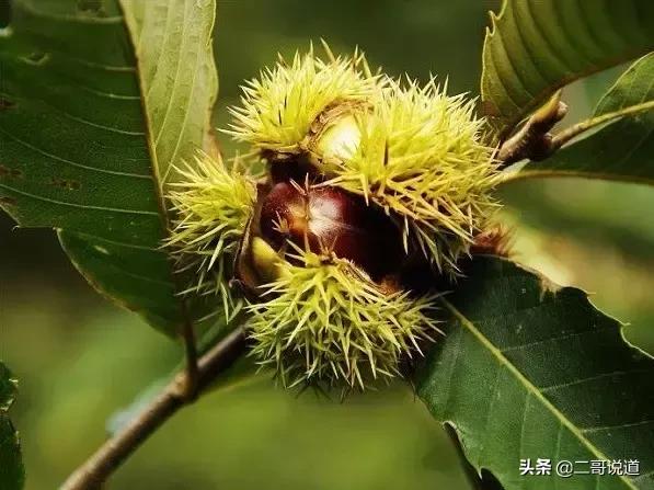 密云探寻历史足迹,密云发现神秘遗址