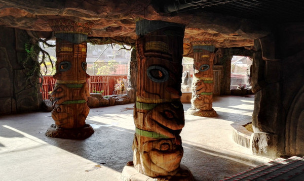 我的海南之旅作文,从海口到三亚感受海南的无限魅力