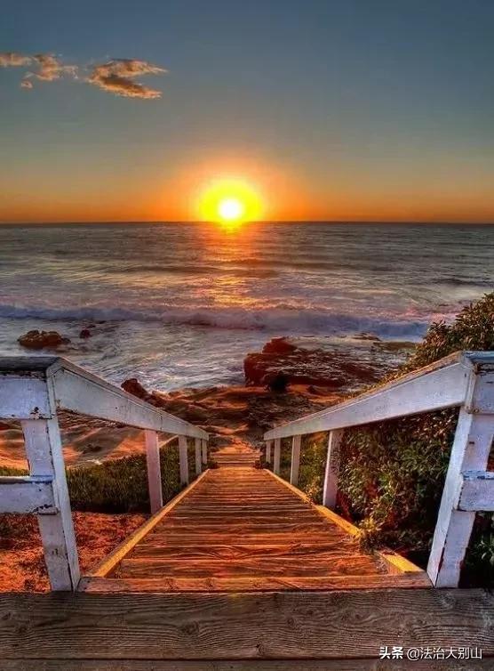 生命的价值记叙文600字,生命的价值全文阅读