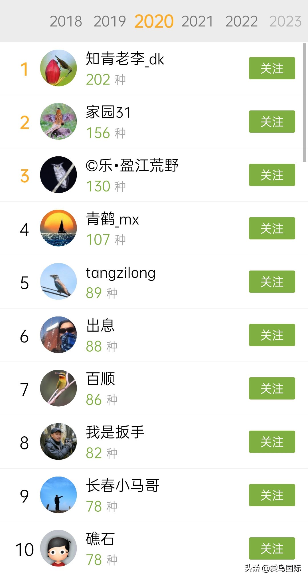 2020观鸟大年,观鸟大年完整版