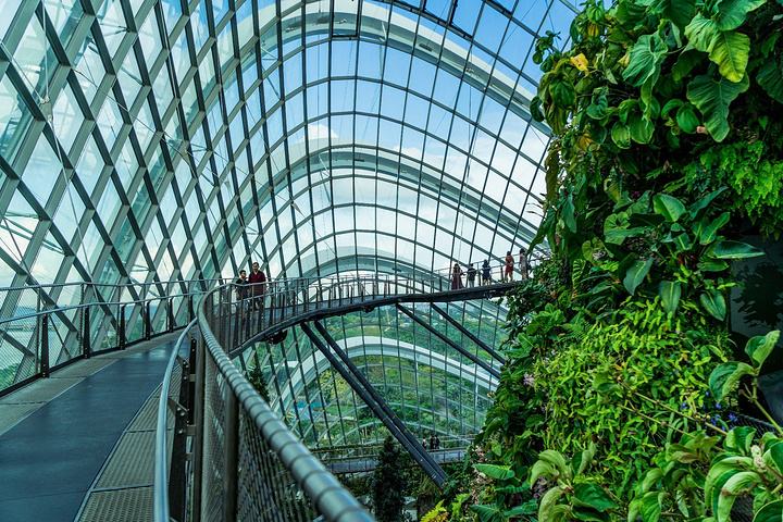 vr虚拟全景体验设备,vr游览世界美景