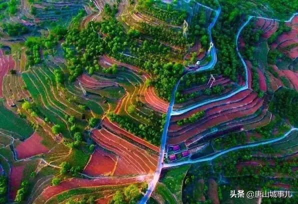 我叫唐山！请您听我说……