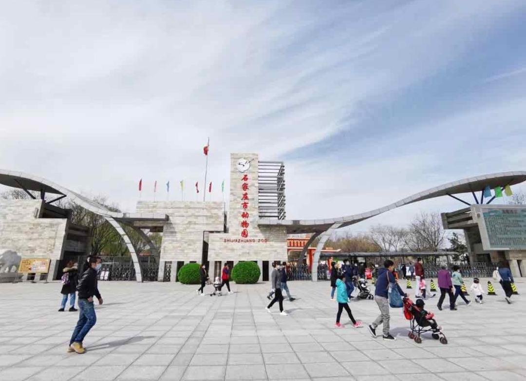 石家庄动物园辛玛王国现在开了吗,石家庄动物园辛玛主题乐园
