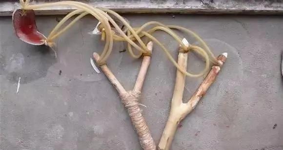 尘封的岁月和记忆,回忆在岁月的痕迹里记录美好