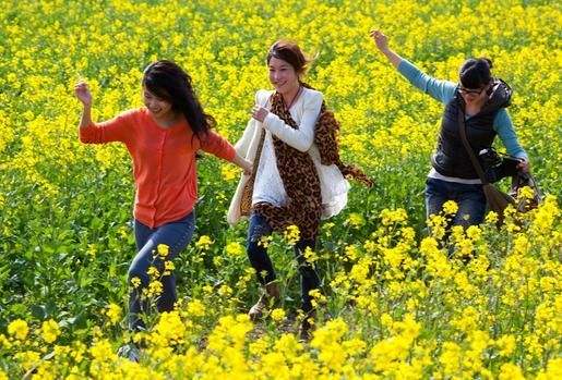 男子清明回家痛哭原视频,清明节回去扫墓男子崩溃大哭