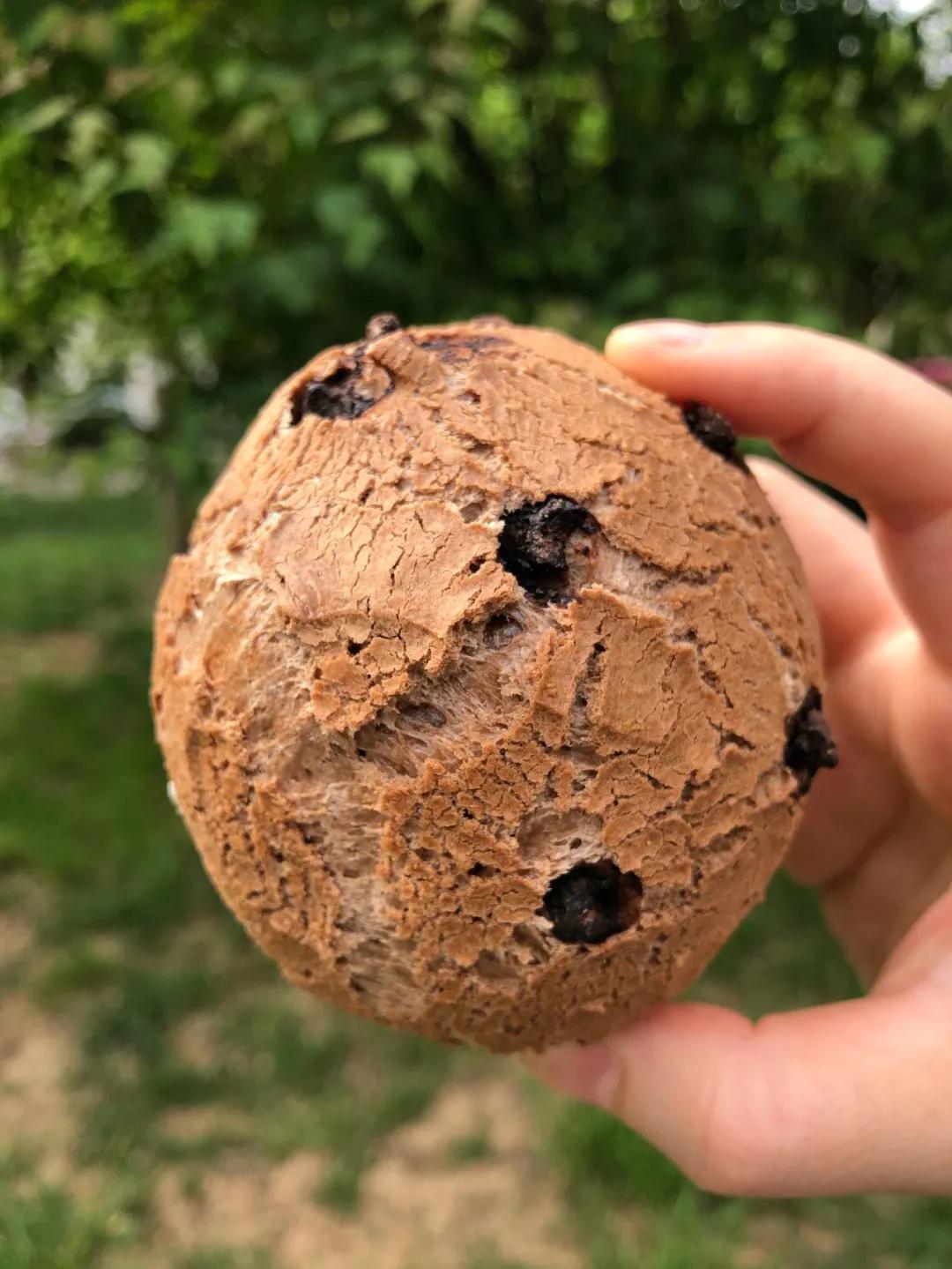 西安的00后，也开始吃这种店了