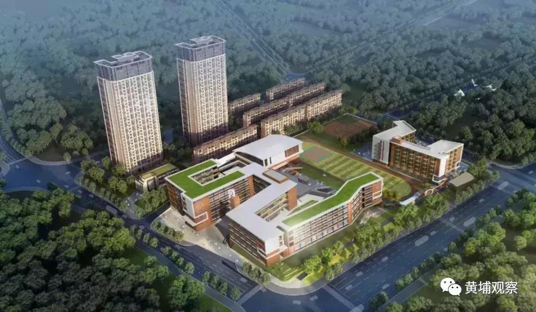 广州黄埔长岭居小学最新消息,黄埔长岭居学校