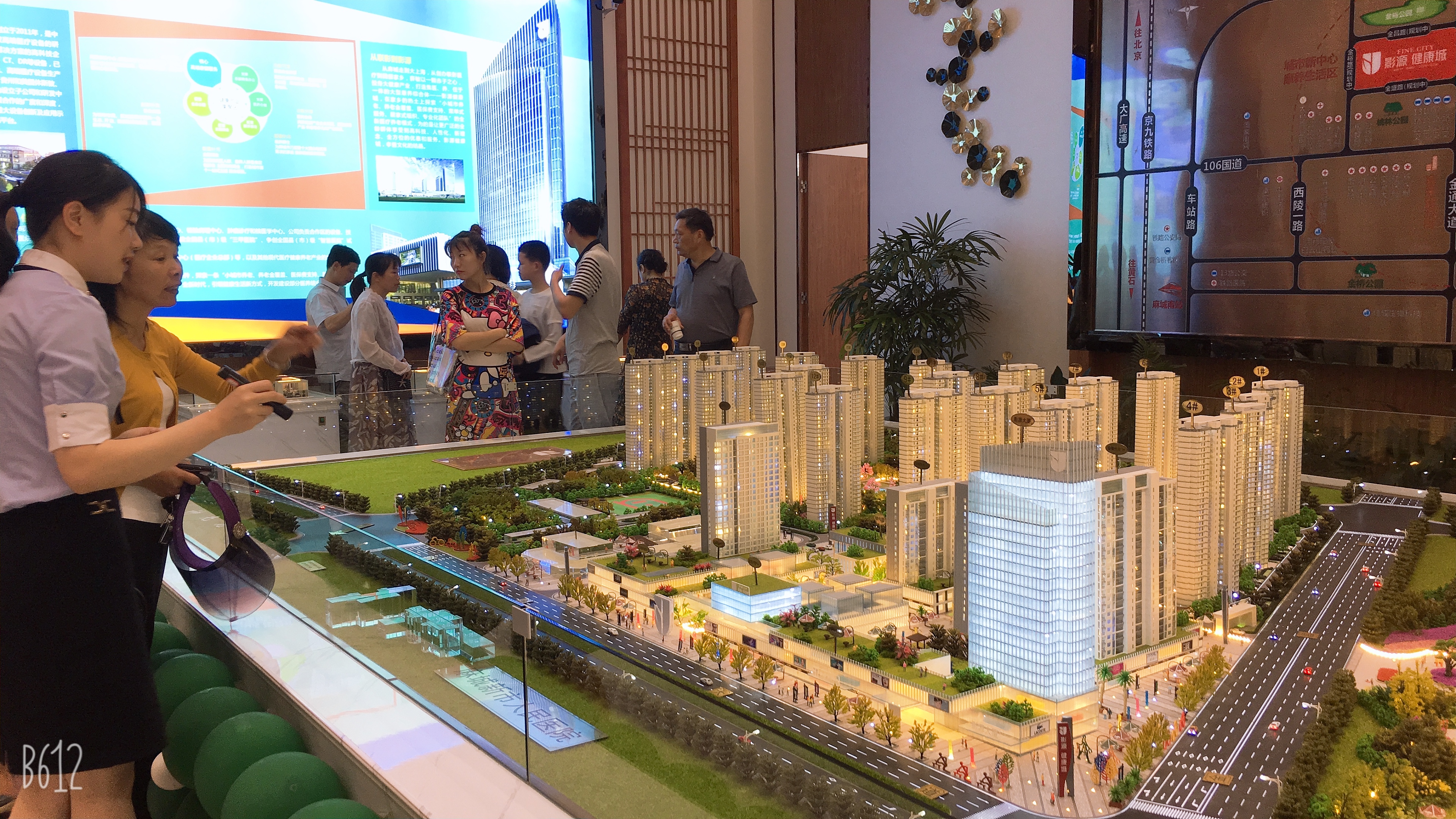 麻城影源健康城一期,麻城影源健康城入户花园设计