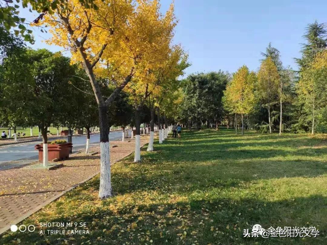 快乐星期六剪辑,快乐星期六摆造型