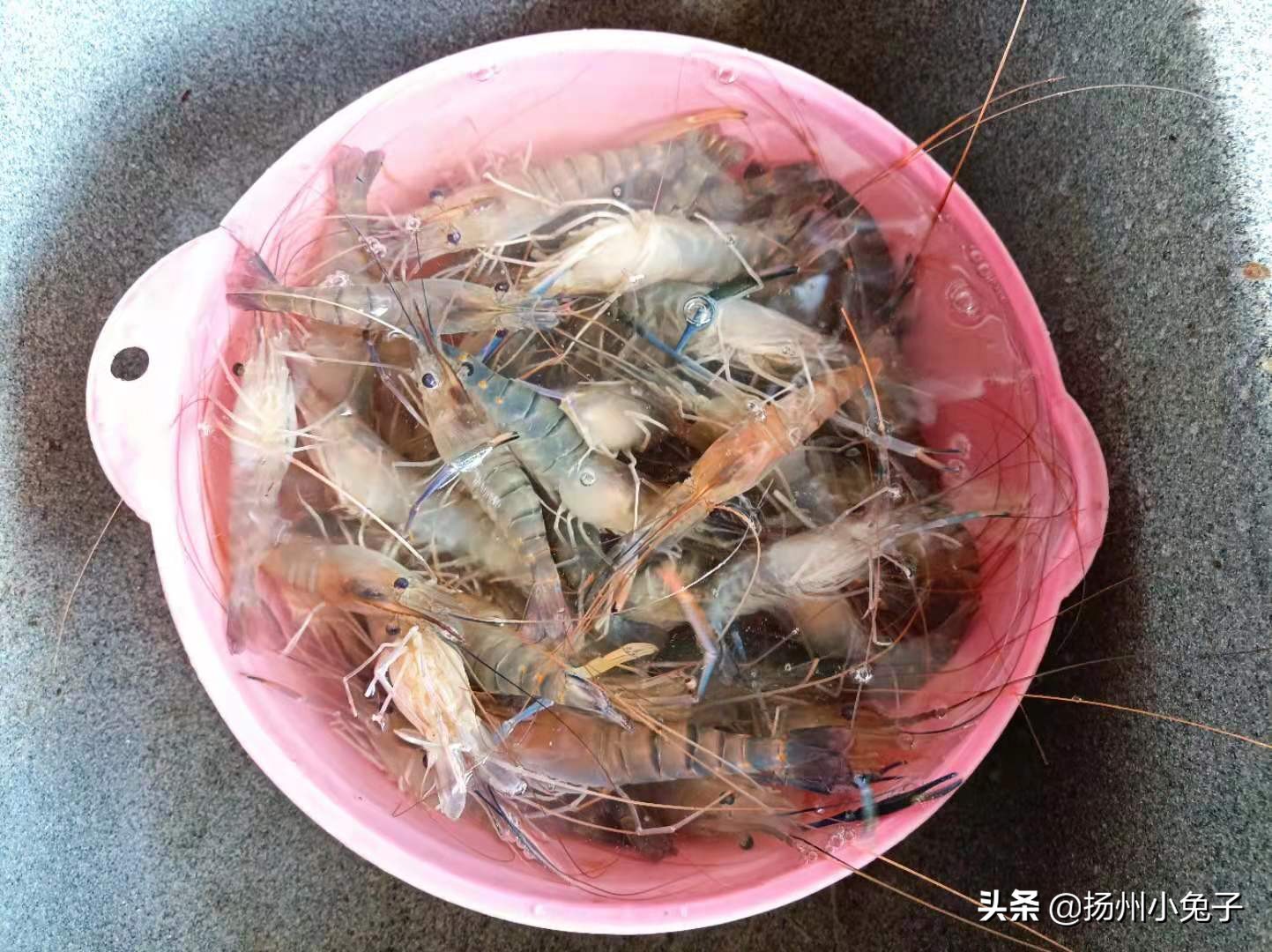 感谢感谢，今天有虾吃了