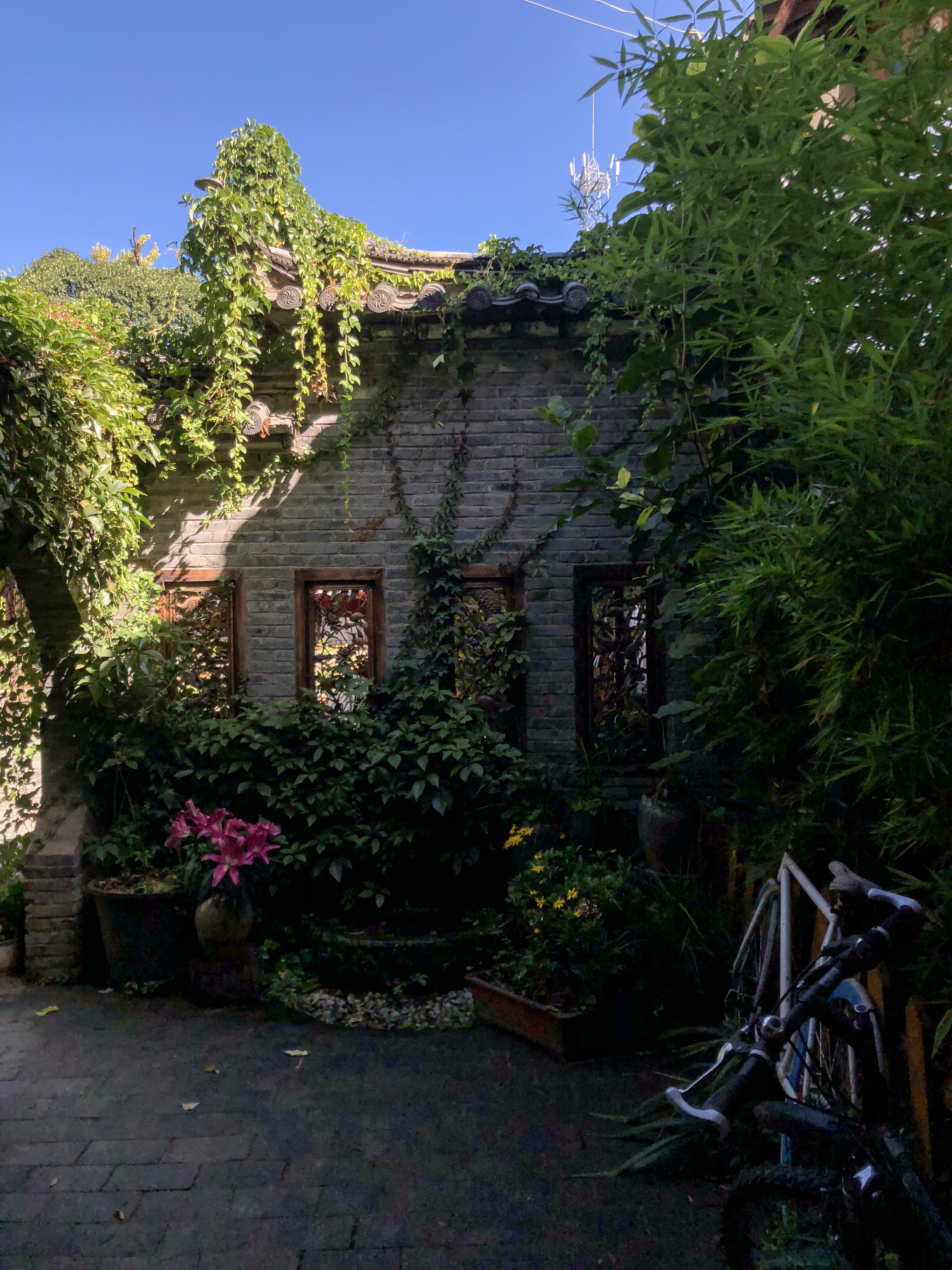 束河古镇民宿雪山下的家,束河古镇住宿看玉龙雪山