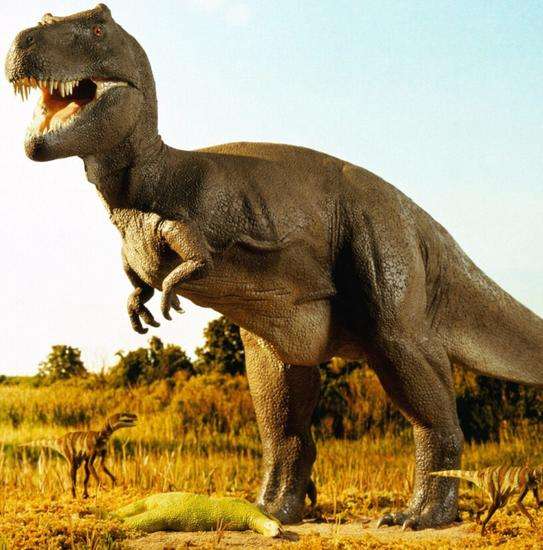 霸王龙比非洲象大多少,霸王龙和大象体型对比