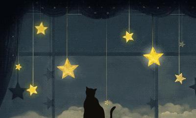 那些经典的电影台词,这些经典的台词