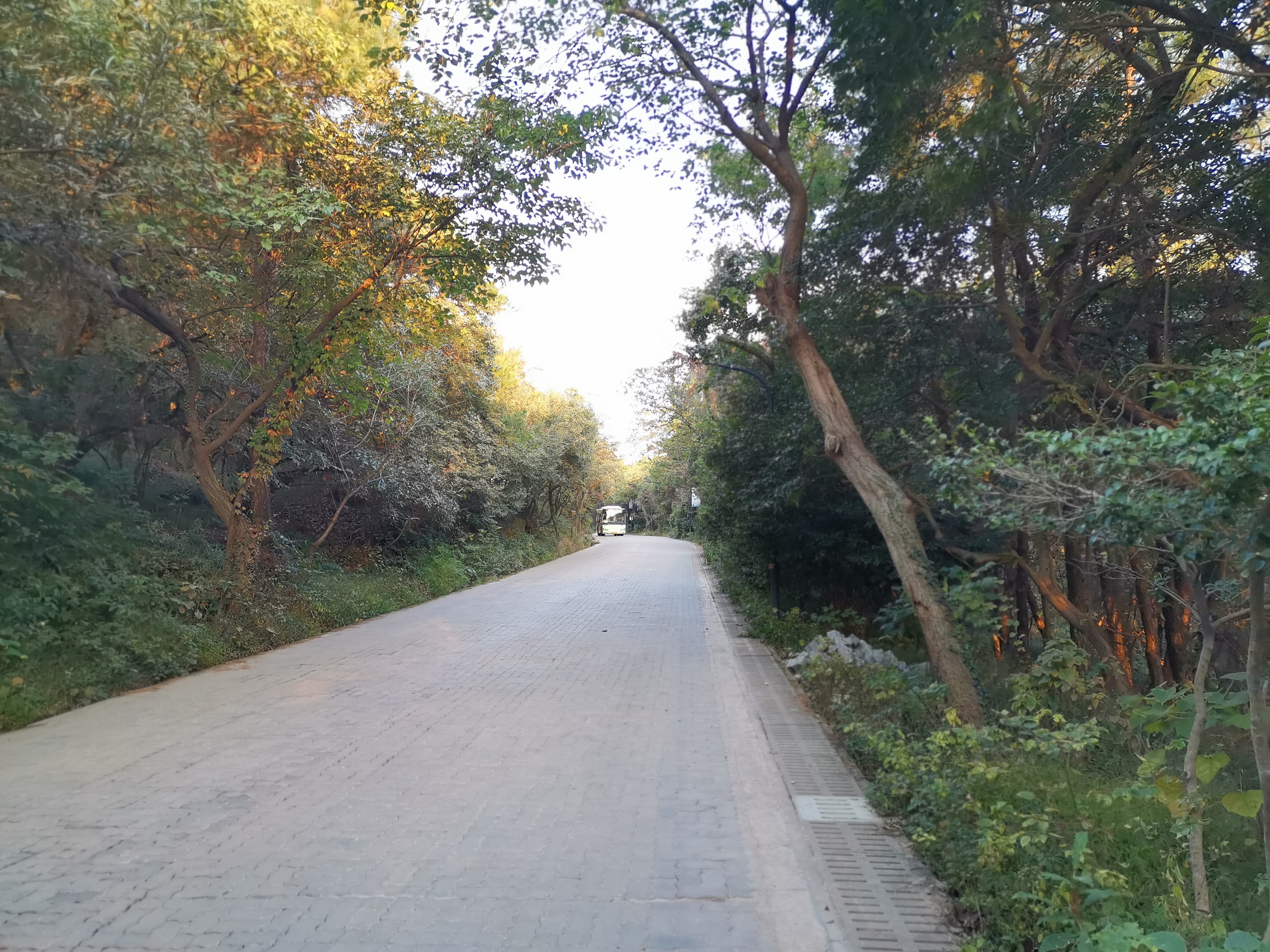 美丽的常熟市,常熟美丽风光