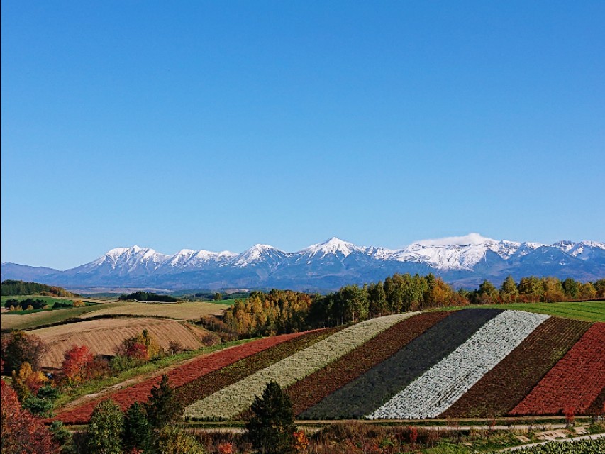 北海道登别到美瑛町需多久,日本北海道美瑛川的雪景