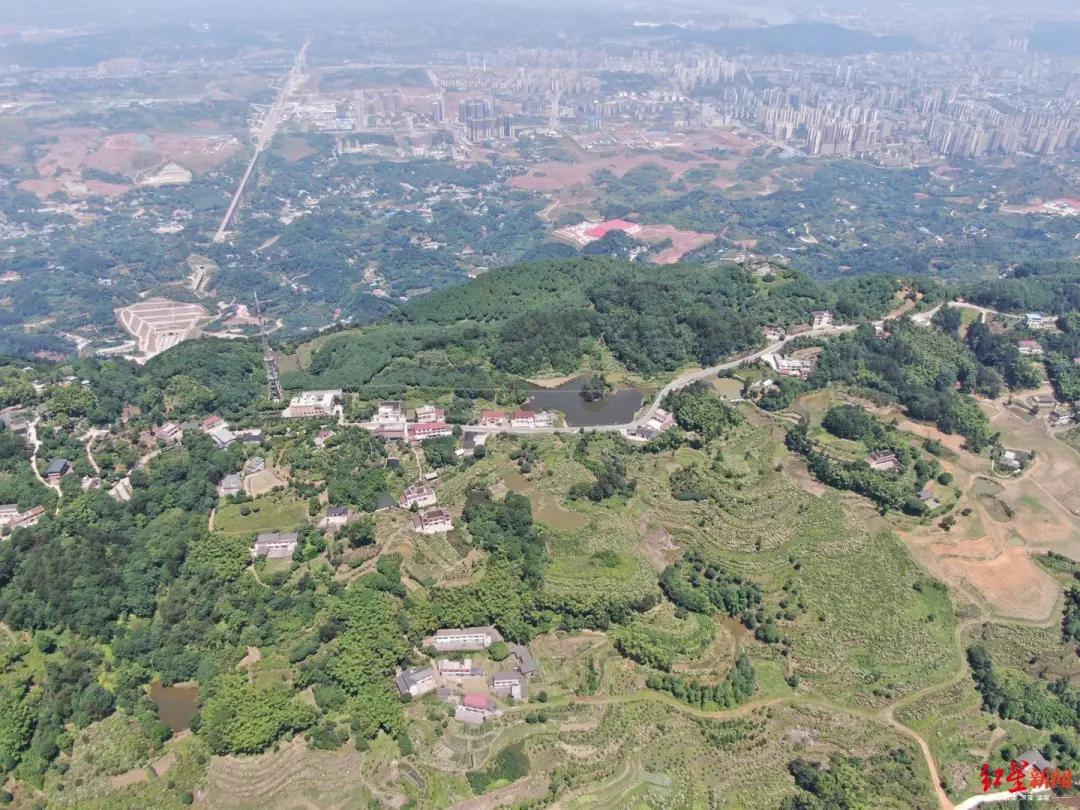 14岁少年杀害表姐案件,14岁少年杀害表姐14年后被抓获