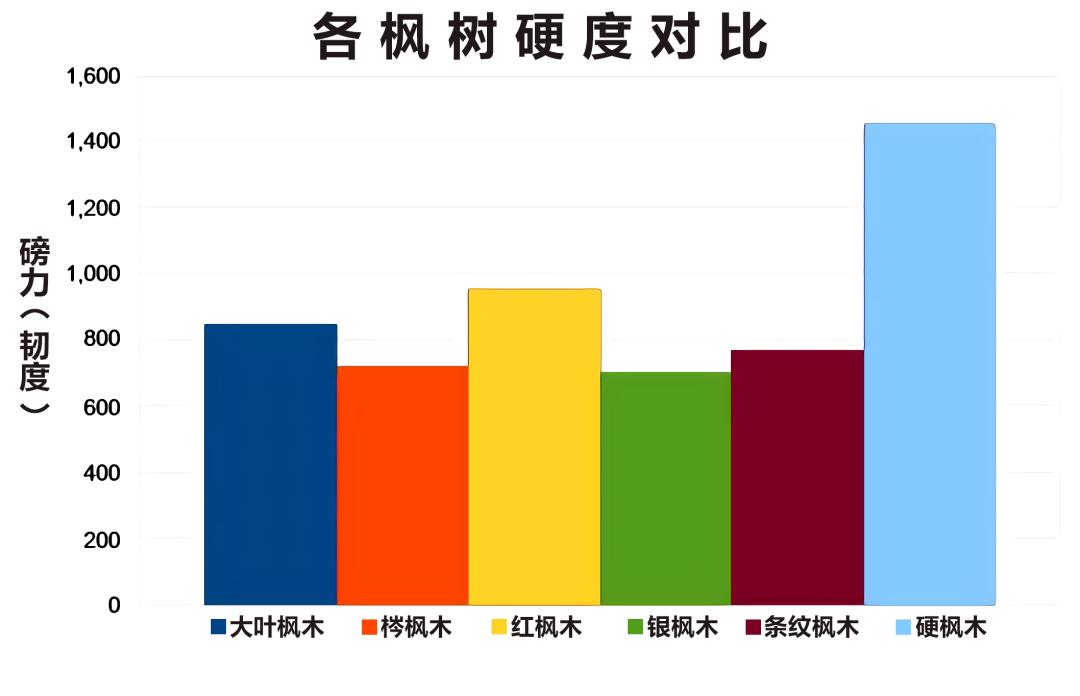 原木和枫木的区别,硬枫木和枫木有什么区别