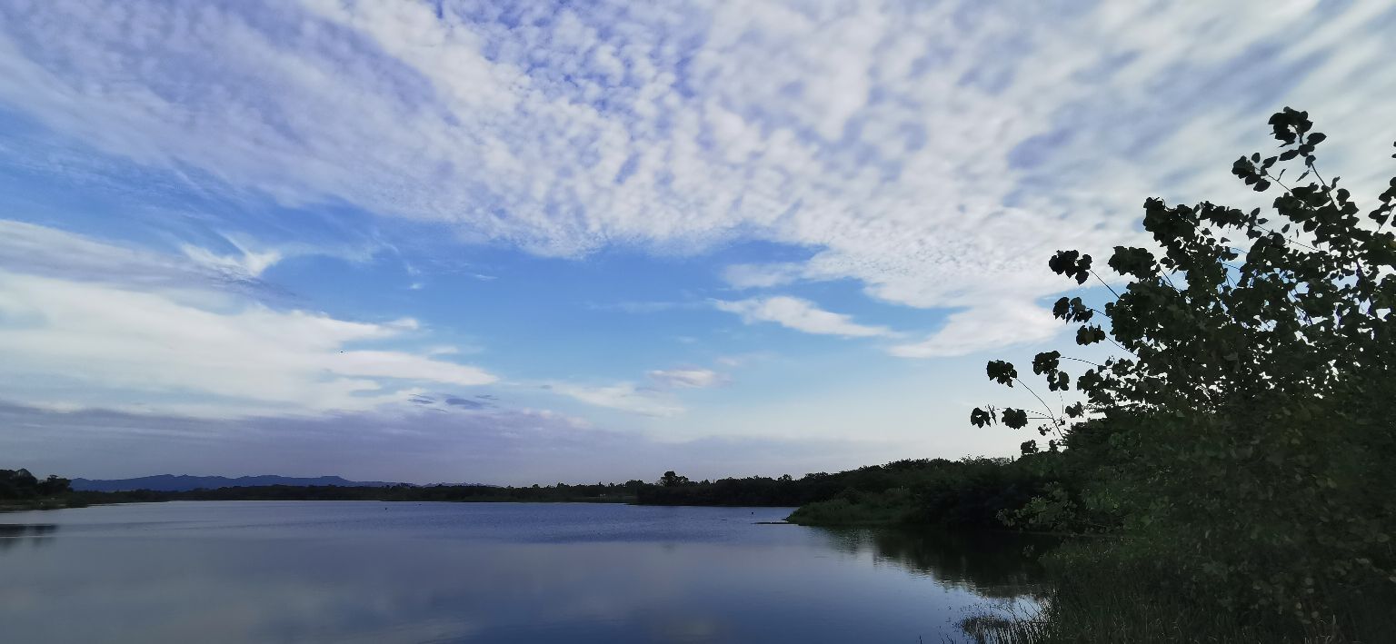 成都青龙湖公园门票,成都青龙湖公园地址