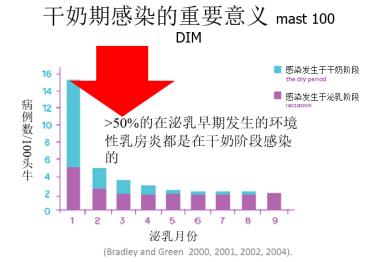 peter鍗氬＋鑲插効璇惧爞,鑻卞浗peter