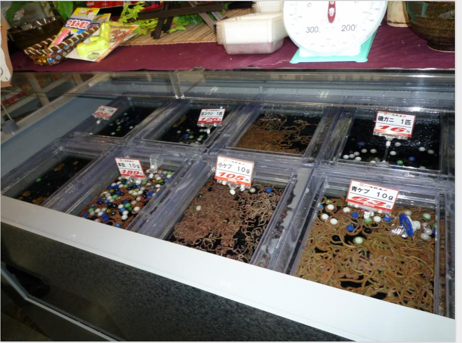 日本进口钓具专卖店直播,日本野钓鱼具店