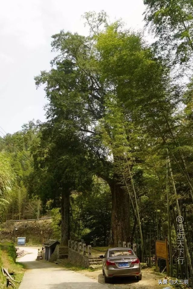 绿都最氧三明景区预约,绿都最氧三明旅游攻略