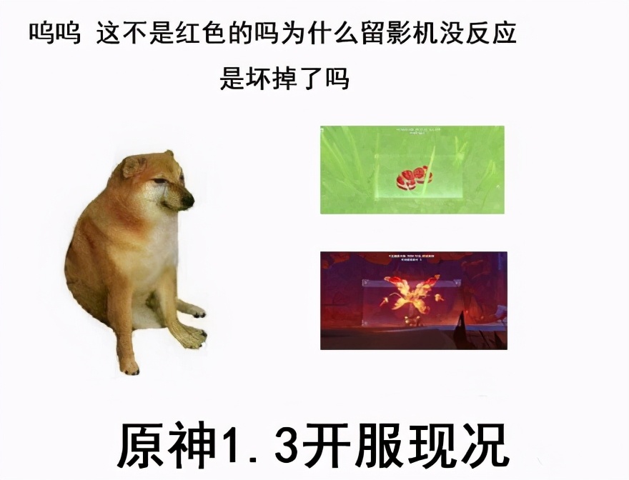 欢乐沙雕图片大全集,原神海灯节沙雕动画