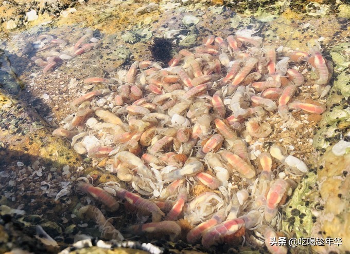 鲅鱼圈出发北京一日游跟团,鲅鱼圈最强攻略看完就出发