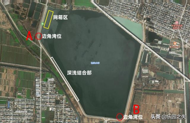 野外水库垂钓草鱼怎么选钓点,水库草鱼野钓技巧解读