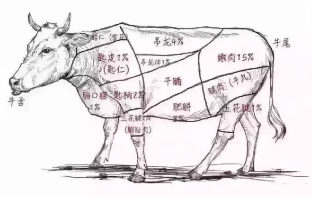 潮牛海记潮汕牛肉火锅的总部,潮牛海记潮汕牛肉火锅