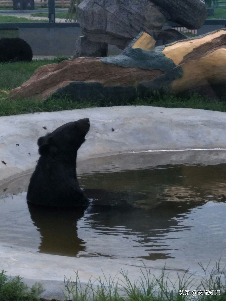 山东德州动植物园旅游区,德州市动植物园视频