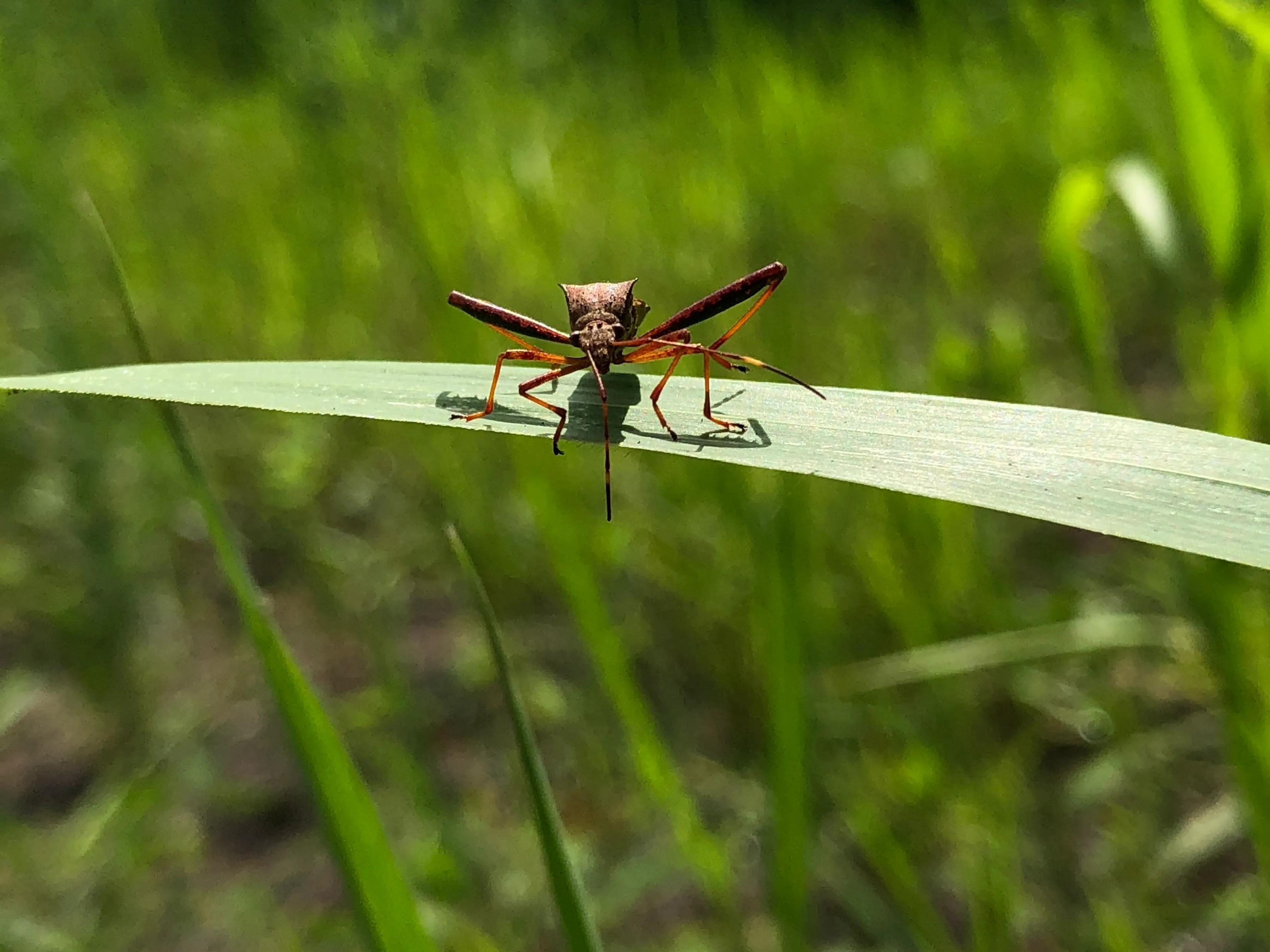 手机摄影作品集大全集,手摄世界