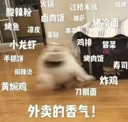 混吃等死、一夜暴富…现实给不了希望只能靠表情包续命