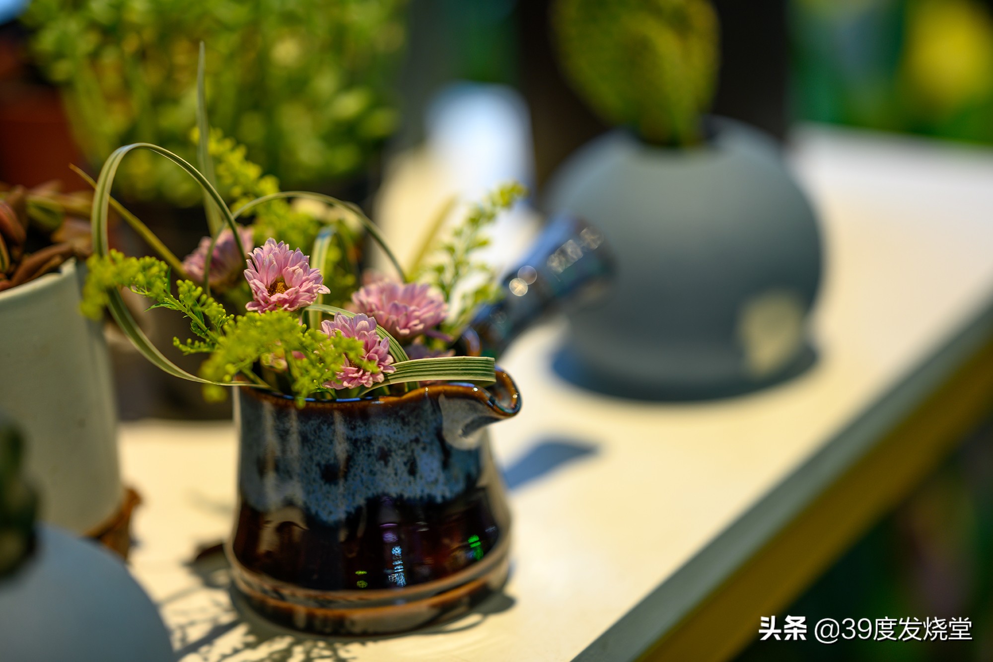 这5000元真值了！尼康Z85mmf/1.8轻量化人像镜头评测