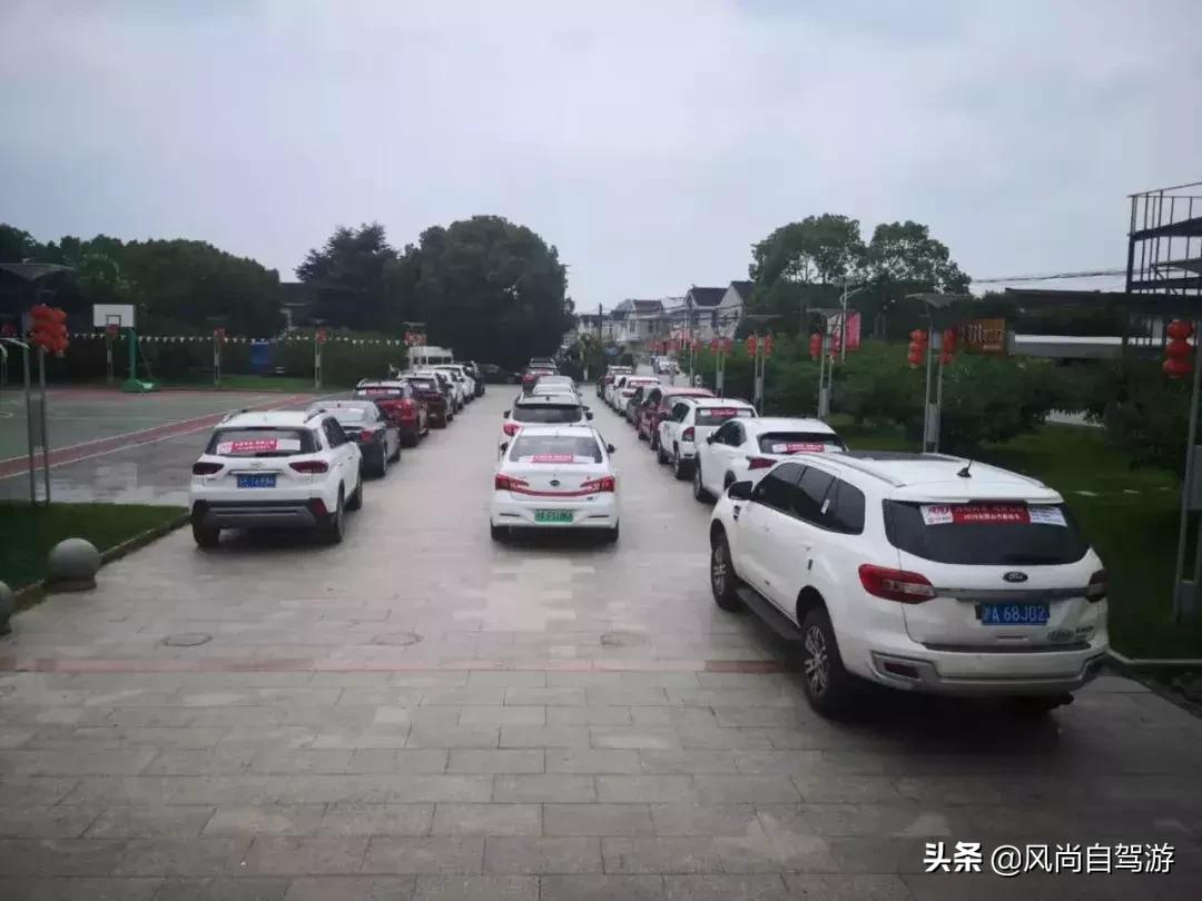 江阴顾山水蜜桃,金顾山蜜桃节开幕