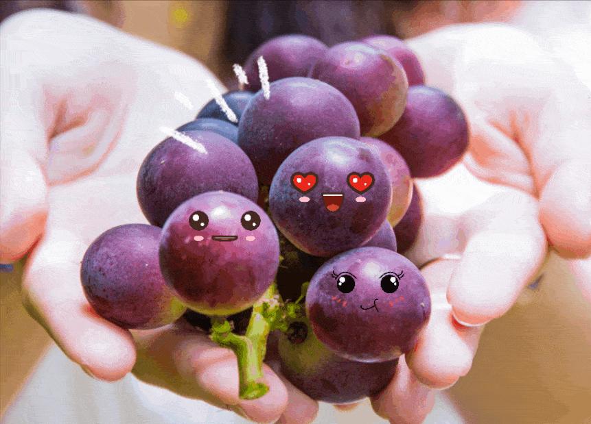 你还在给你家狗狗吃冻干粮吗,你还在给狗狗吃火腿肠吗