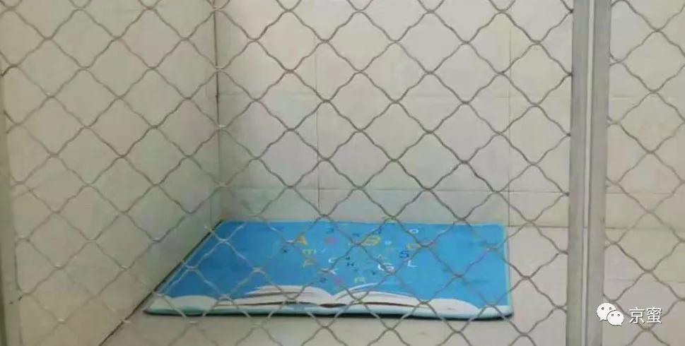 出租屋饲养宠物,出租屋为什么不能养宠物