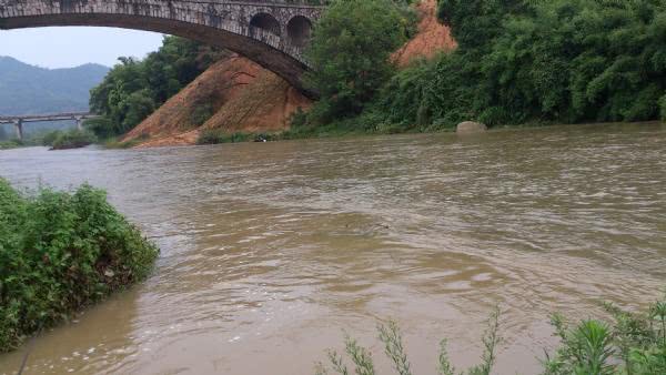 农村河沟里的塘角鱼,因其肉质细嫩,又非常好钓,深受人们喜爱