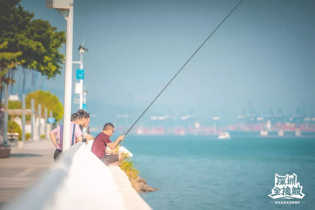 再见了，香港！深圳这条街也能免税买港货啦