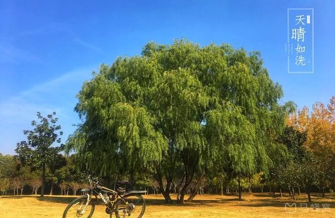 南京免费公园免费开放日一览表,南京免费公园景点推荐