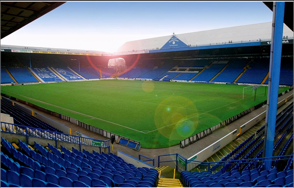 涨知识篮球,涨知识英语节目