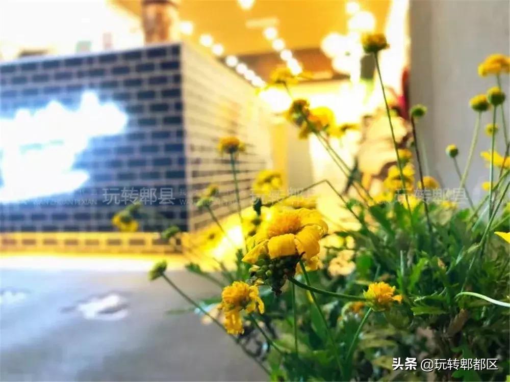 暹香泰茶是不是真实的,暹香泰茶