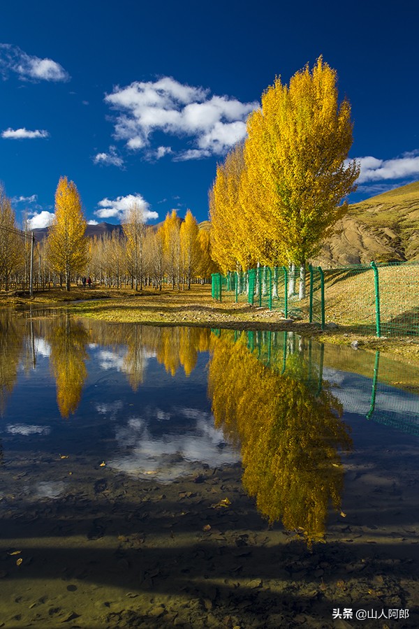 宸濊タ楂樺師澶ц崏鍘熺殑璺笂鐓х墖,闈掕棌楂樺師涓婄殑鑽夊師闆北椋庢櫙