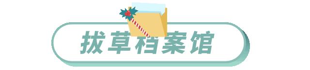 旗舰店网易严选,网易线下实体店