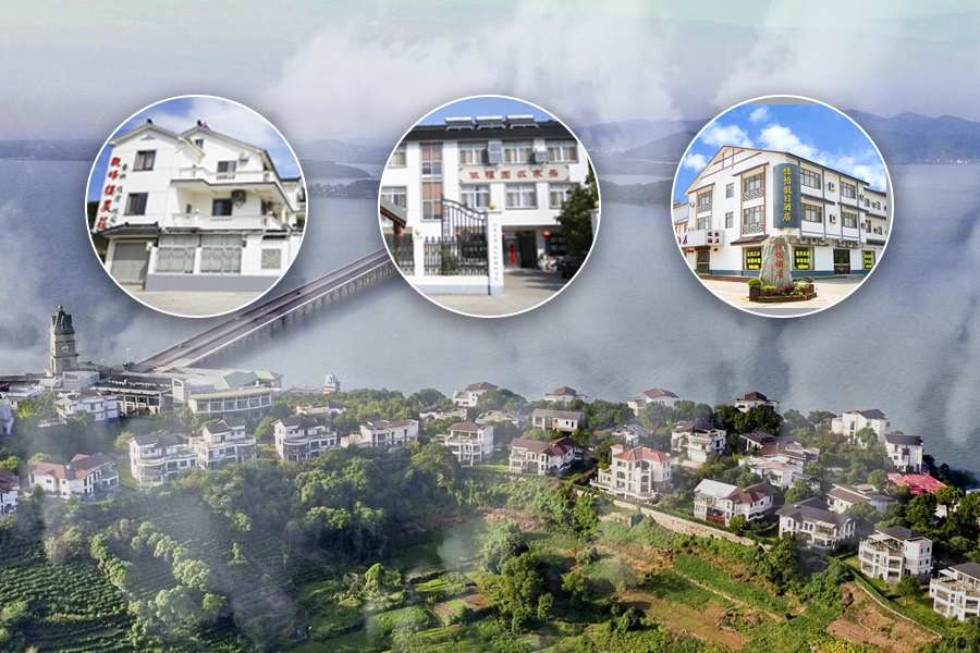 苏州东山农家乐推荐常用指南,苏州东山西山包吃住农家乐推荐