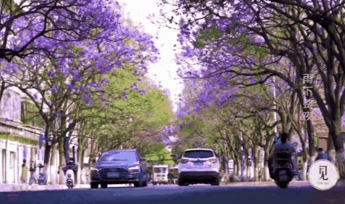 被大理的美景所折服,被丽江的风景美到了