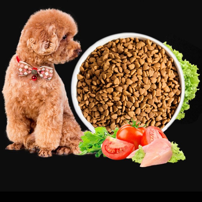 泰迪犬为什么不怕狗粮,泰迪犬吃什么狗粮最好呢